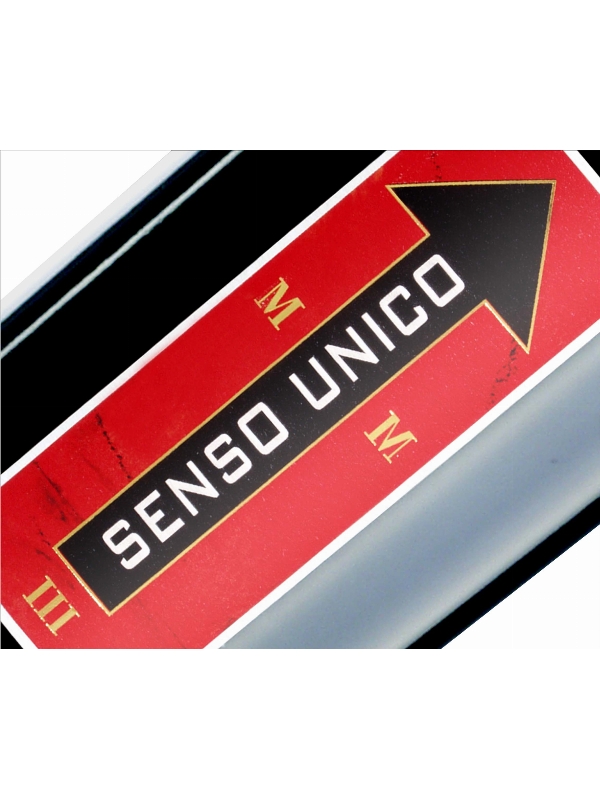 SENSO UNICO 2020
 1